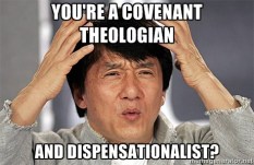Covenant, as opposed to dispensational, theologians believe there are only 2 or 3 covenants in the Bible.