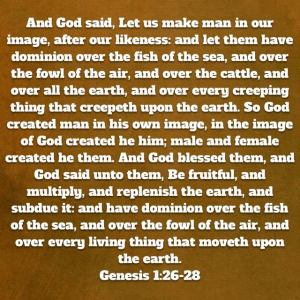Ge.1.26-28