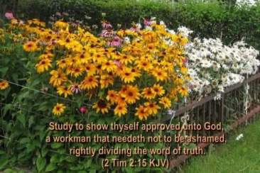 2Ti.2.15_3